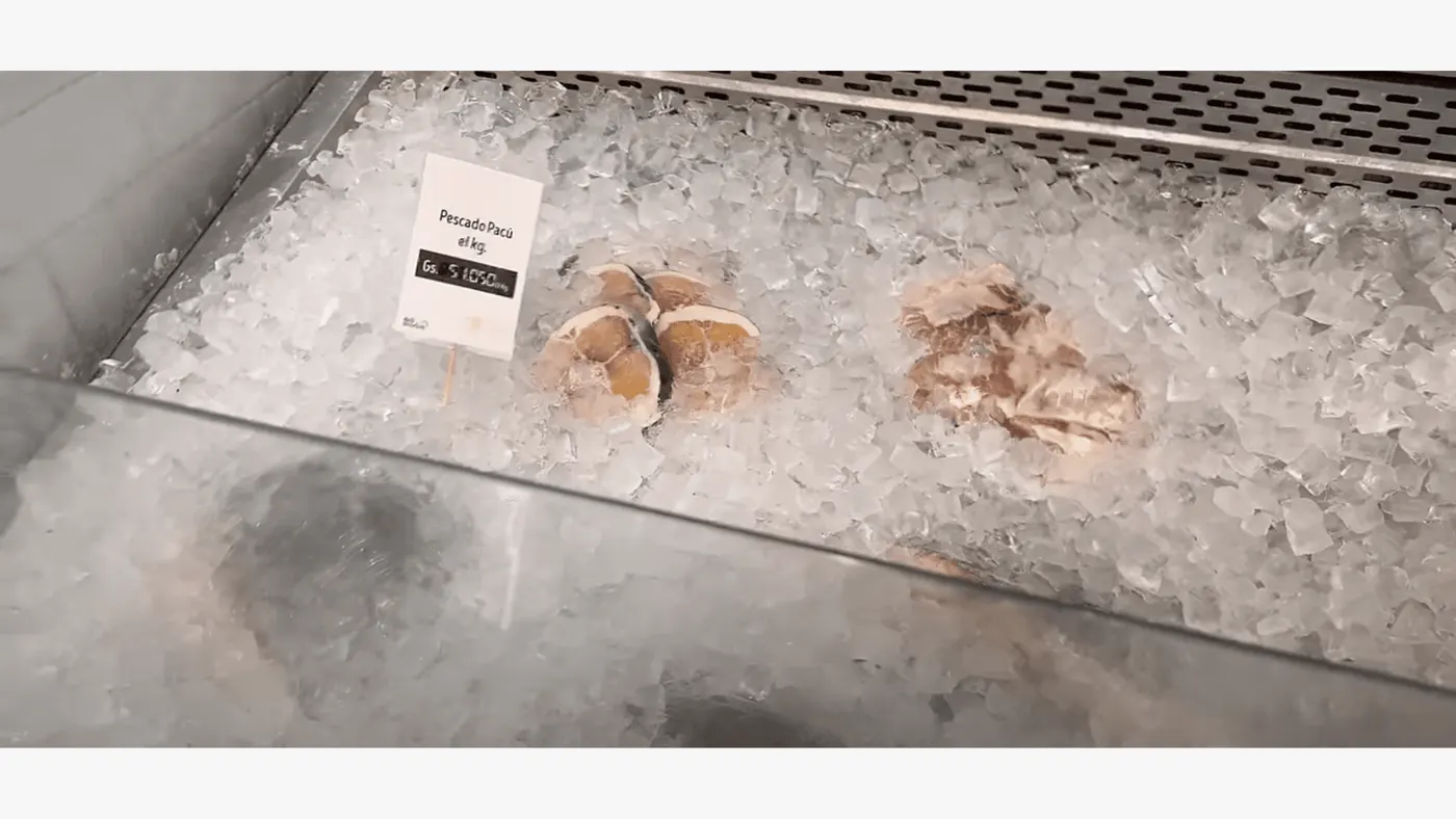 Le choix des poissons et des fruits de mer au Paraguay 